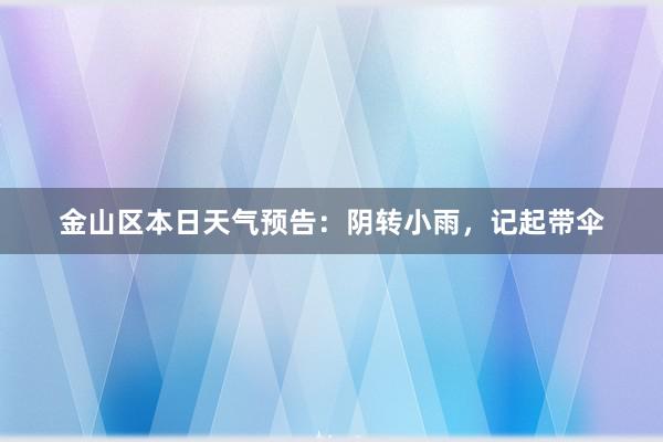 金山区本日天气预告：阴转小雨，记起带伞